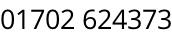 01702 624373